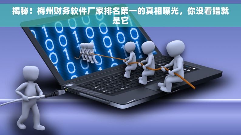 揭秘！梅州財務(wù)軟件廠家排名第一的真相，你沒看錯就是它